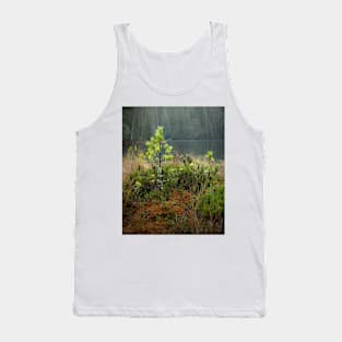 Small pine tree in swamp Tank Top